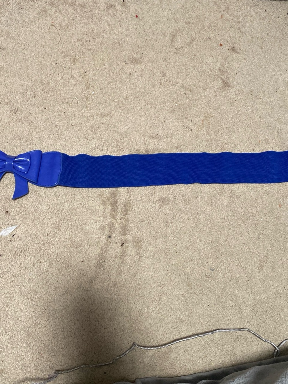 Women’s Bow Accent Elastic Belt in Royal Blue